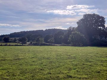 View from the site