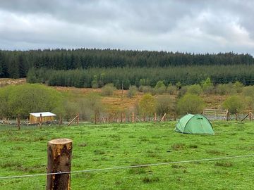 Grass pitches