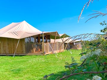 Safari tents