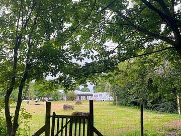 View from the woodland
