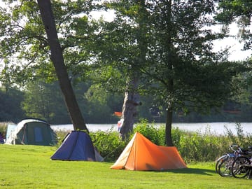 Lakeside pitches among the trees