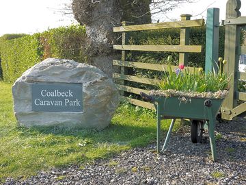 Pretty planters add colour around the site