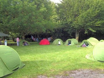 Happy campers
