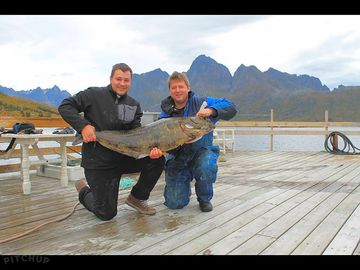 Rent a boat to go fishing