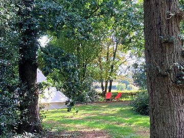 View from the woodland towards the bell tents