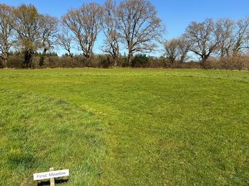 1st Meadow