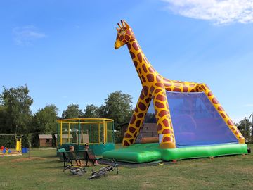 Bouncy castle and trampoline