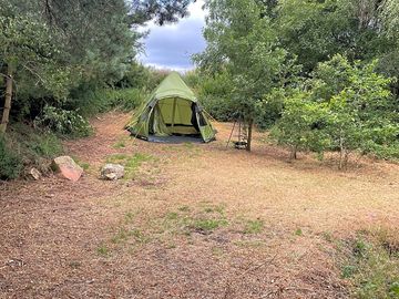 Rental tent