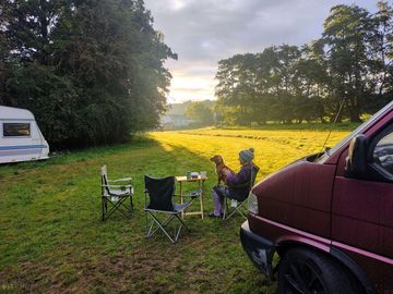 Peaceful site surrounded by trees