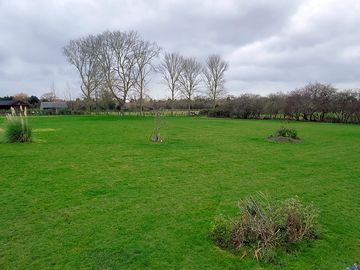 View of the site