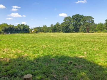 Grass field pitches