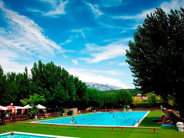 Pool surrounded by trees with enough space to sunbathe and relax