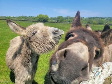 Morwenna whispering in sophie's ear
