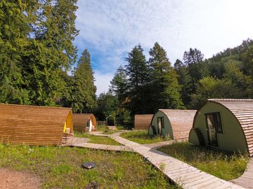 The pods