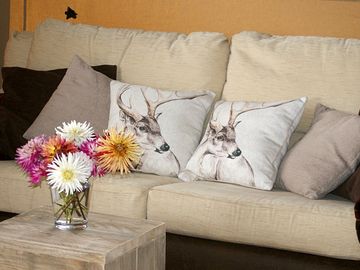 Living room with comfortable sofa