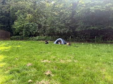 Tent pitch