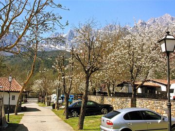 Spring has sprung