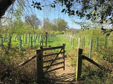 Walk from the site to bluebell railway