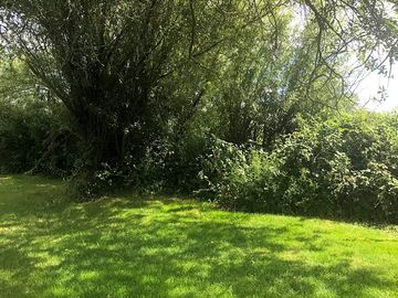 Relax in the shade