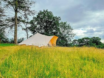 The Pines bell tent