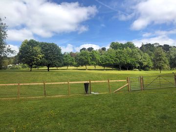 Views from dog walking