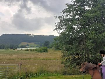 View towards the white horse from the site