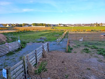 Non-electric grass and earth tent pitches