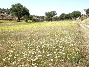 Wildlife haven