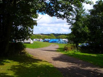 View of the site