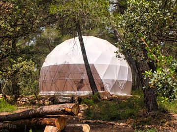 Yurt for activities