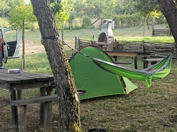 Pitches under the trees