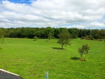 The field with woods behind