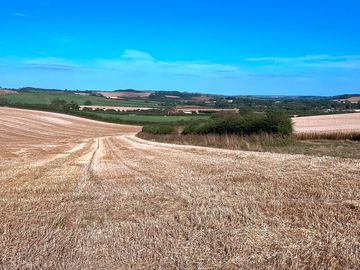 Far-reaching wolds views