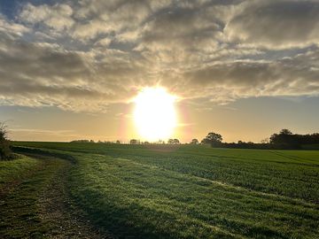 Local walk