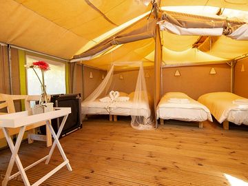 Safari tent interior