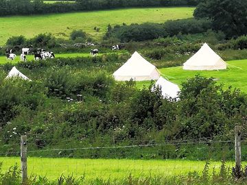 View over the tents