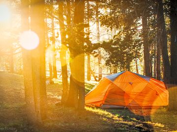 Sunset in the woods