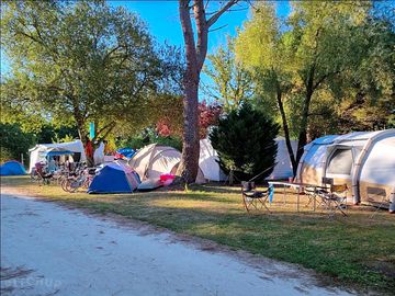 Pitches by the trees