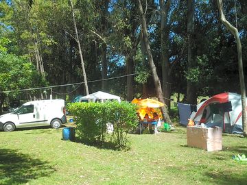 Grass pitches