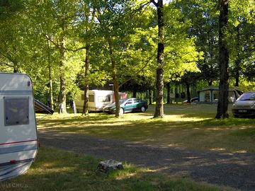 Nice pitches shaded by trees