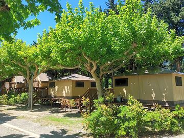 Marquise at the front, moorea at the back