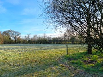 Camping field