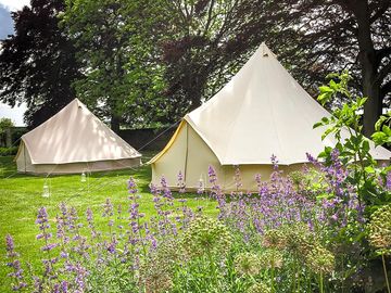 Pitch up among greenery