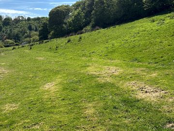 Views down the field
