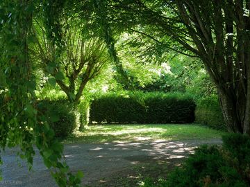 Pitches among the trees