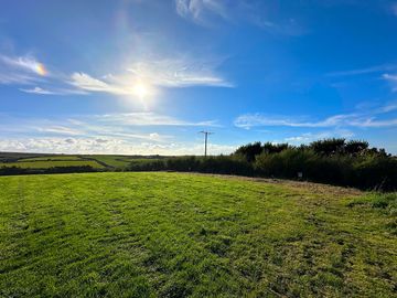 Lots of open space