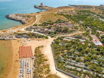 Aerial view of site