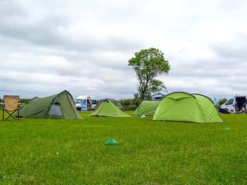 Tent pitches