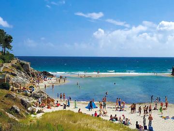 A sunny day at the beach for the joy of all