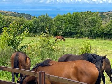 The view from the shepherd's hut